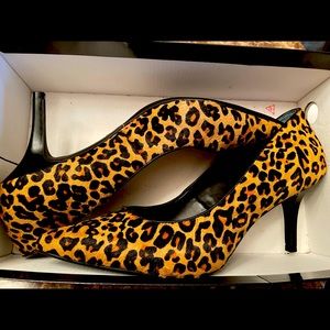 Leopard Print Fun